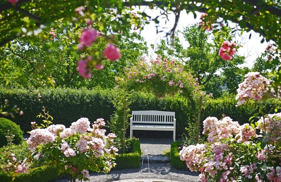 Jardin clos aux roses — Vallée de Chevreuse