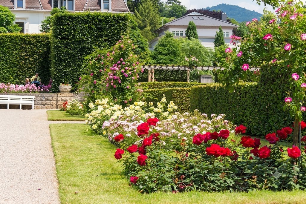 Roseraie du Belvédère — Bade-Wurtemberg